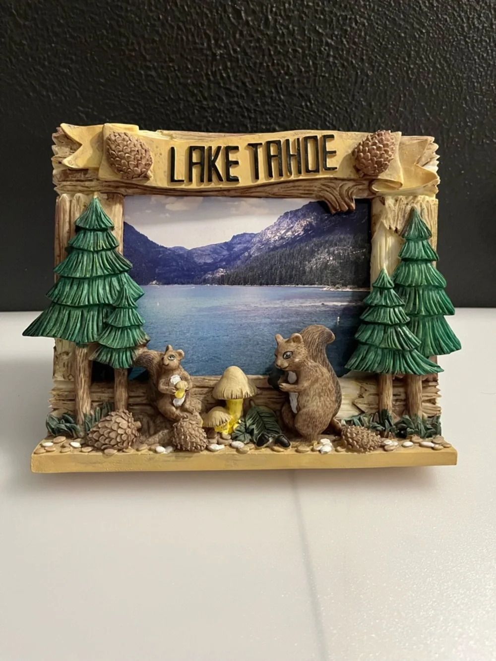Lake Tahoe Squirrel & Pinecone Resin free-standing 3D Frame - Brown/Green